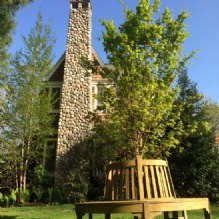 Image for Andover Arborists with ID of: 988685