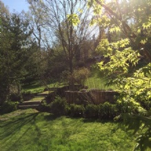 Image for Andover Arborists with ID of: 988686