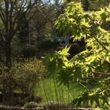 Image for Andover Arborists with ID of: 988688