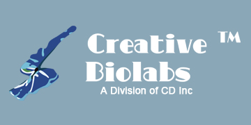 Image for Adnectin Library with ID of: 988858