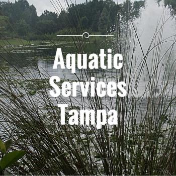 Image for A&B Aquatics Inc with ID of: 989700
