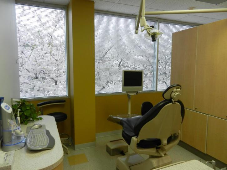 Image for Laura Y. Ki, DDS with ID of: 991860