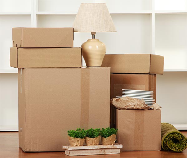 Image for Teleport Movers with ID of: 992481