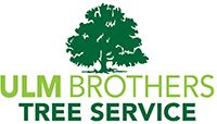 Image for Ulm Brothers Tree Service with ID of: 992786