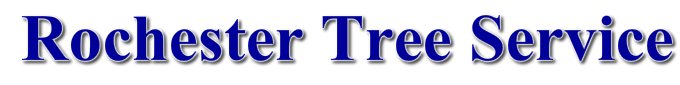 Image for Rochester Tree Service with ID of: 992888