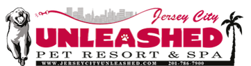 Image for Unleashed Pet Resorts with ID of: 993244