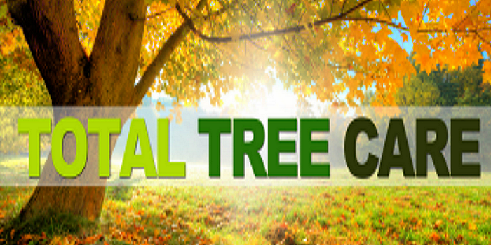 Image for Metroplex Arbor Care with ID of: 994254