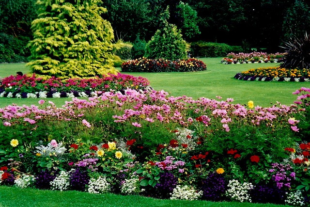 Image for Doug Fluters Landscaping with ID of: 994841