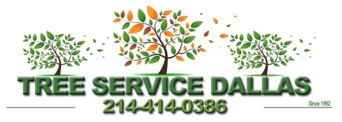 Image for Tree service Dallas with ID of: 994886