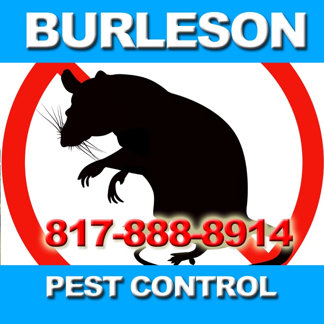 Image for Josephine Pest Control with ID of: 995006