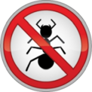 Image for Josephine Pest Control with ID of: 995180