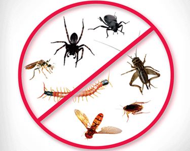 Image for Josephine Pest Control with ID of: 995182