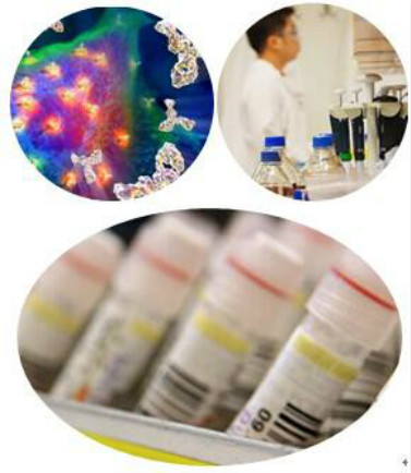 Image for Melamine ELISA Kit with ID of: 995696