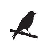 Image for The Canary's Song with ID of: 995829
