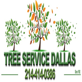 Image for Tree service Dallas with ID of: 996110