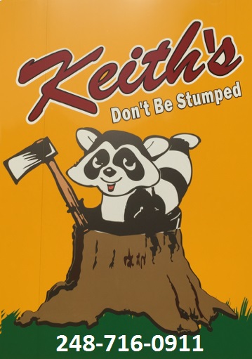 Image for Keith's Stump Removal with ID of: 996425