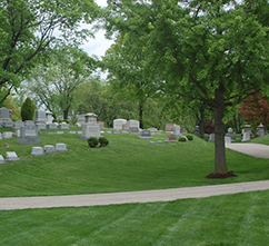 Image for Groundskeeper Landscape Group with ID of: 998058