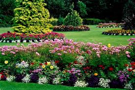 Image for Grizzly Executive Landscaping Services with ID of: 999337