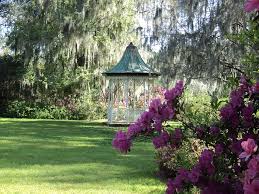 Image for Grizzly Executive Landscaping Services with ID of: 999341