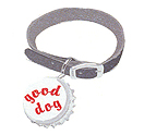 Photo for Good Dog