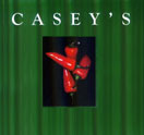 Photo for Casey's Bar & Grill