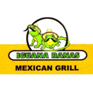 Photo for Iguana Ranas