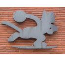 Photo for Black Cat