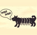 Photo for Pazzo Pazzo