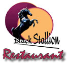 Photo for Black Stallion