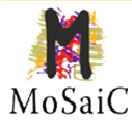 Photo for Mosaic