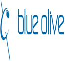Photo for Blue Olive