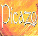 Photo for Picazo