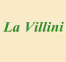 Photo for La Villini