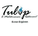 Photo for Tulip