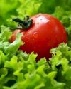 Photo for Places to Eat in Franklin NC_Restaurants in Franklin NC