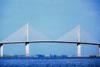 Photo for Tampa Bay Attorneys