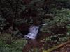 Photo for Murphy, NC - 140.7 Acres Of Pristine Wilderness
