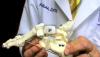 Photo for Peter Wishnie, DPM - Stop Foot Pain Fast - Plantar Fasciitis  [video]