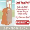 Photo for LostMyDoggie.com - Let us help you find your lost pet