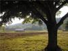 Photo for 1000 Rock Bridge Road, Bethpage, TN Unimproved Tract For Sale Offered by Penny Hester, Realtor