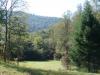 Photo for 69.3 Acres * 598 Justice Road * Otto NC - Franklin NC Real Estate *Bald Head