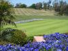 Photo for Shadowridge Vista Real Estate Market Update