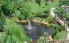Photo for Waterford Irmo, SC Real Estate for Sale