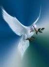 Photo for Busy Corner Ministry