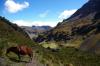 Photo for Lares Trail to Machu Picchu