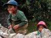 Photo for People on the Lares Trail