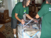 Photo for Movers Long Island