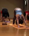 Photo for Inner Sun Yoga Studio, LLC