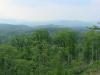 Photo for Deer Ridge Estates Would Like to Share With You Lots For Sale - Reduced