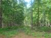 Photo for 10 +/- acres. Great Acreage!!!  Close to town of Murphy North Carolina